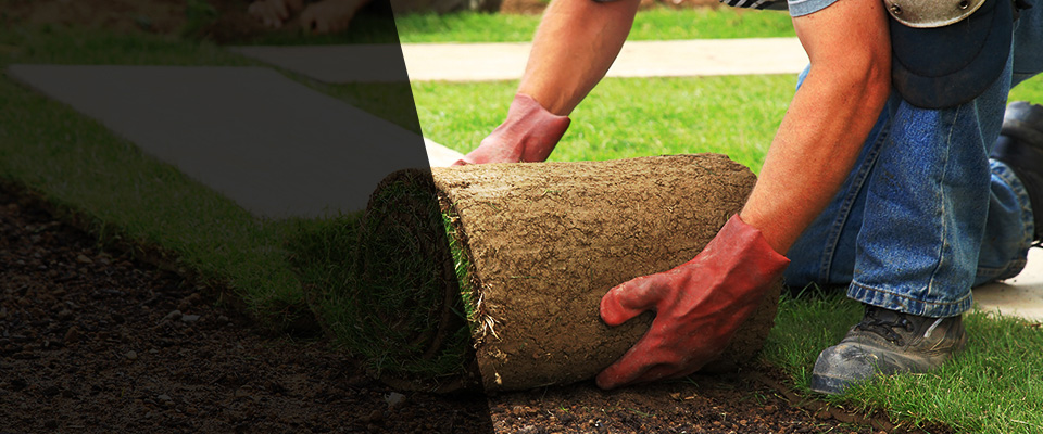 West Burlington Landscapers